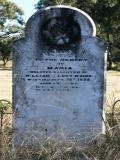 image of grave number 923521